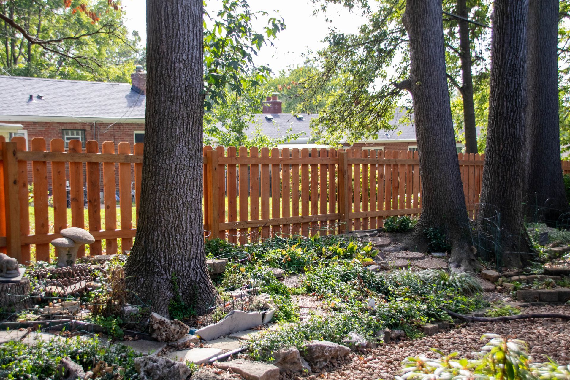 Wooden fence in a backyard with trees and greenery. A house is visible in the background.