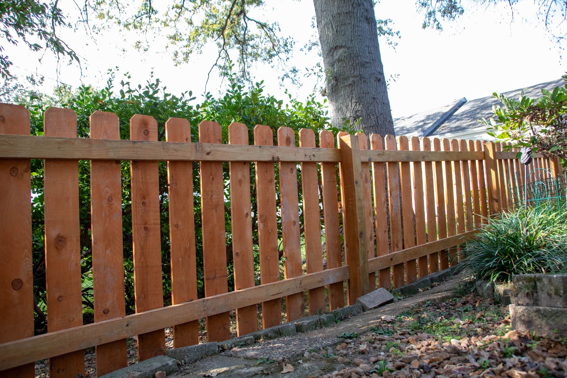 Wooden picket fence in a backyard, with a tree and bushes visible.