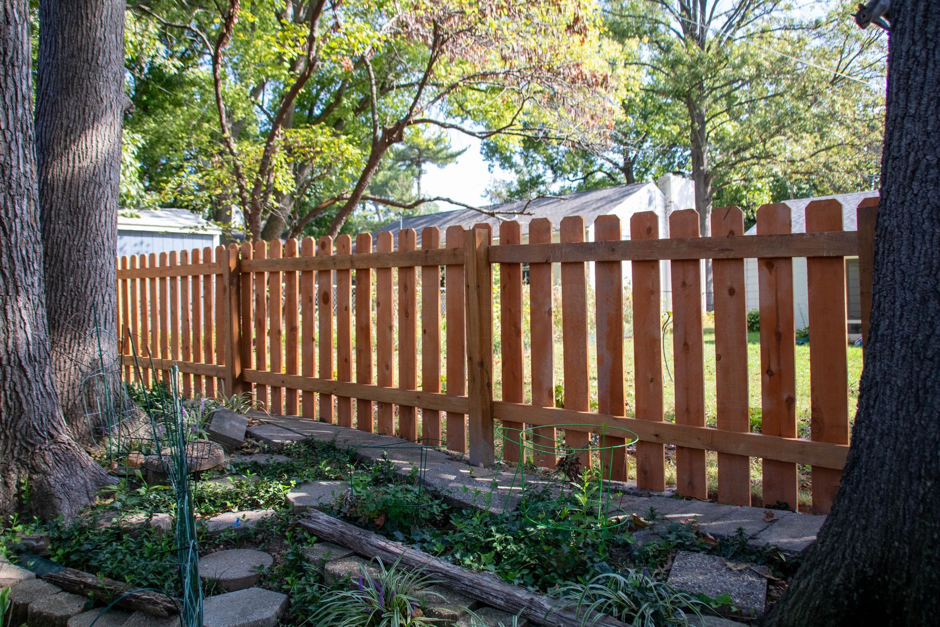 Wooden picket fence in a backyard, flanked by large trees, with a green lawn.