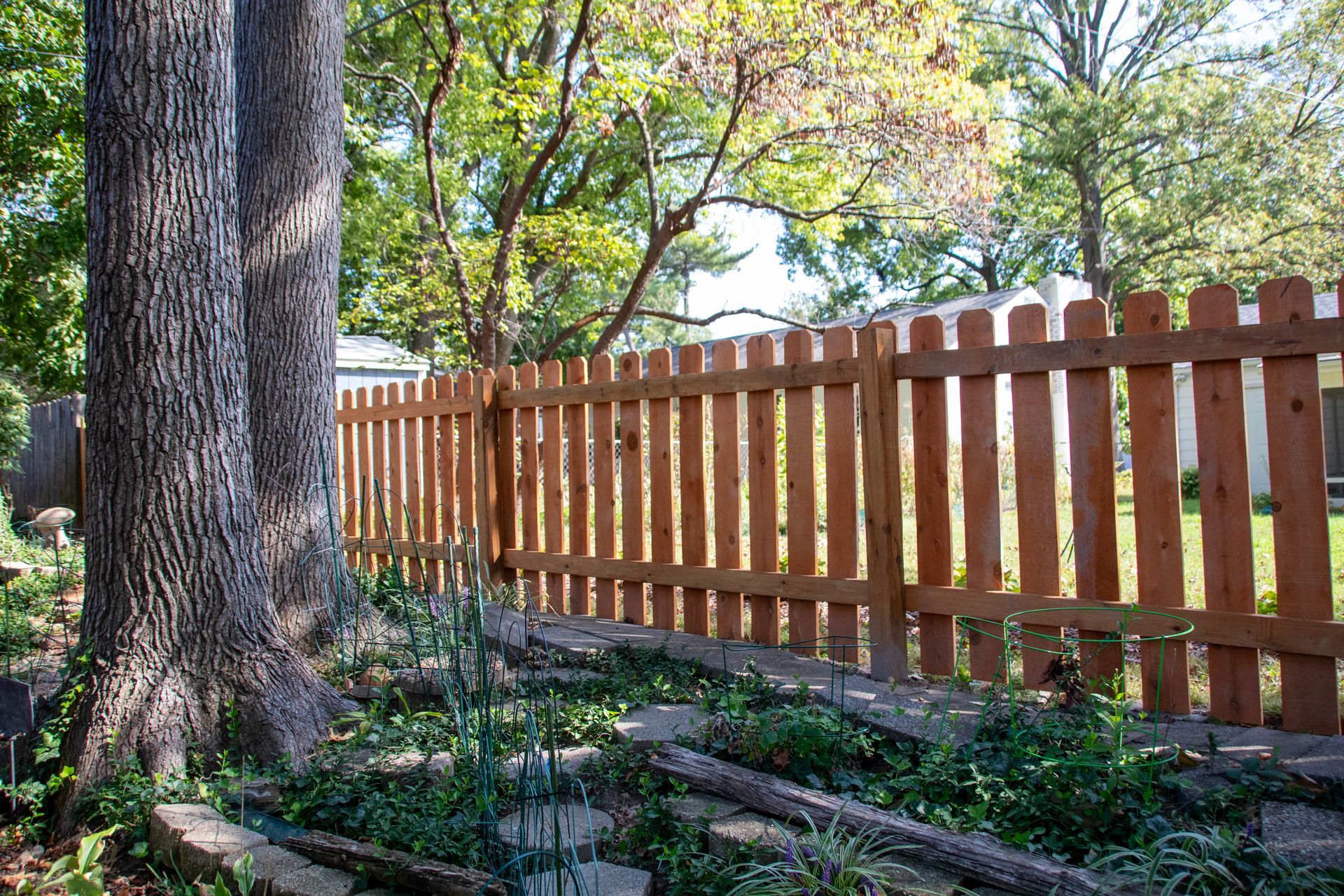Brown picket fence in a backyard, with trees and greenery.