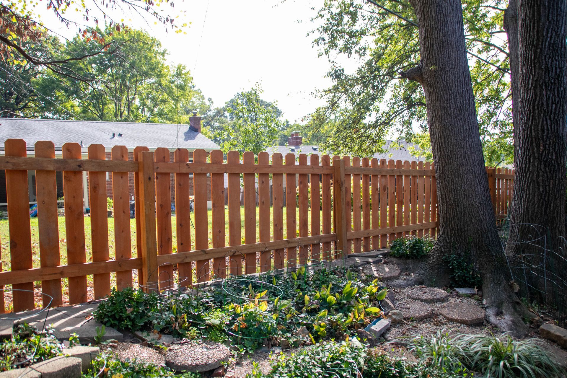 Wooden fence with trees and greenery in a backyard setting.