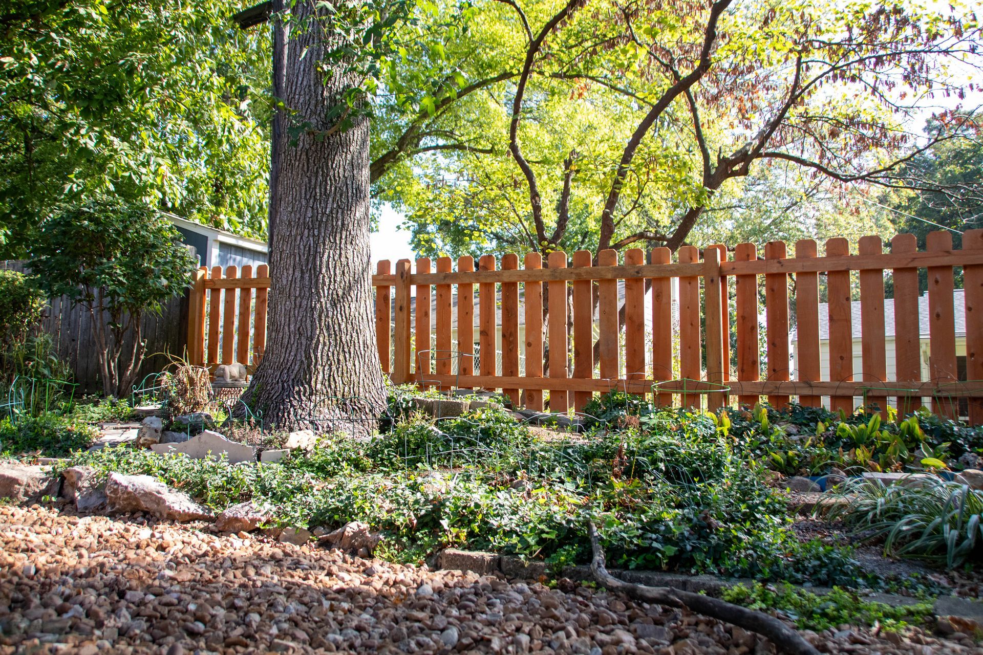Wooden picket fence around a yard with a large tree and foliage.