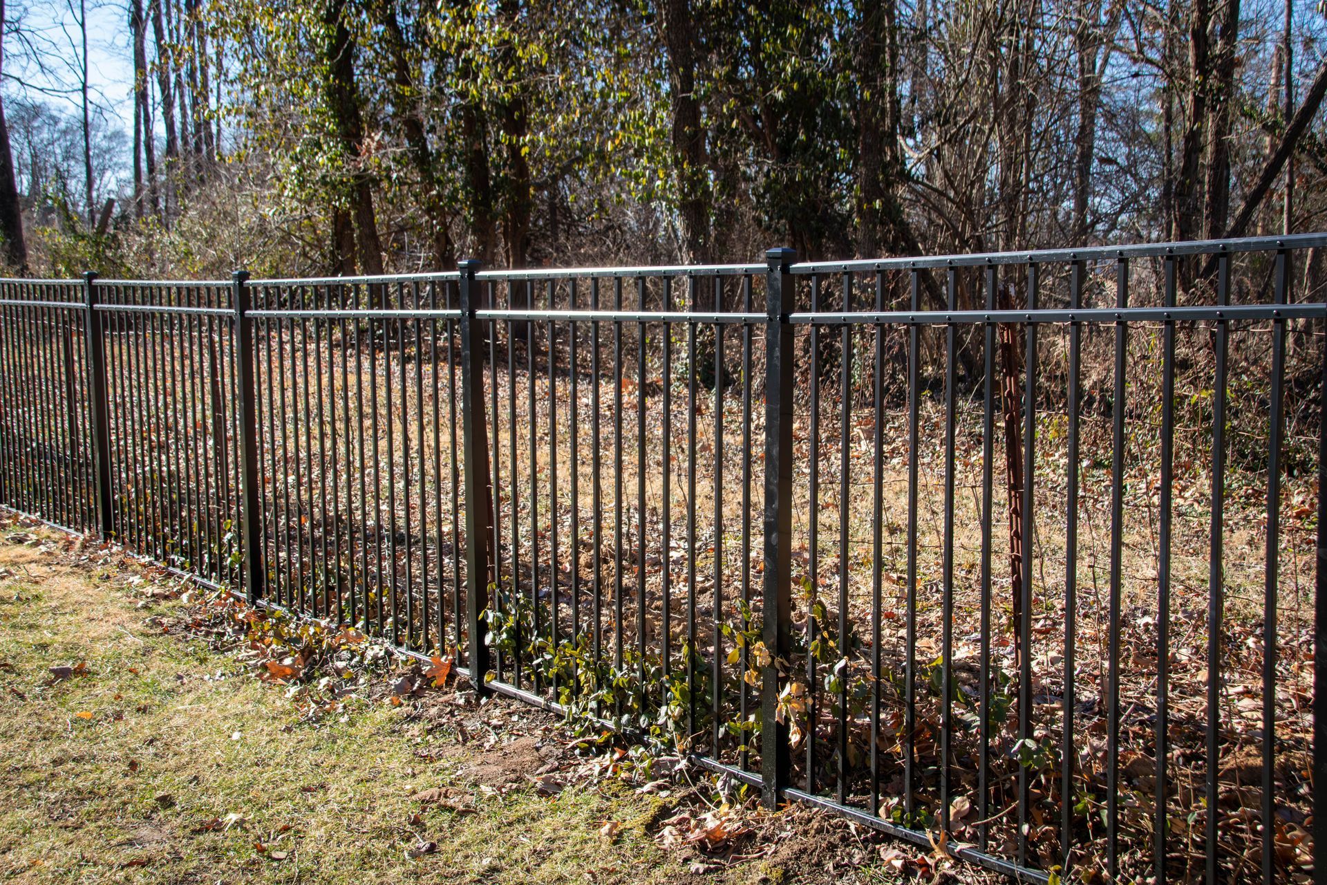 Black metal fence in front of trees and grass.