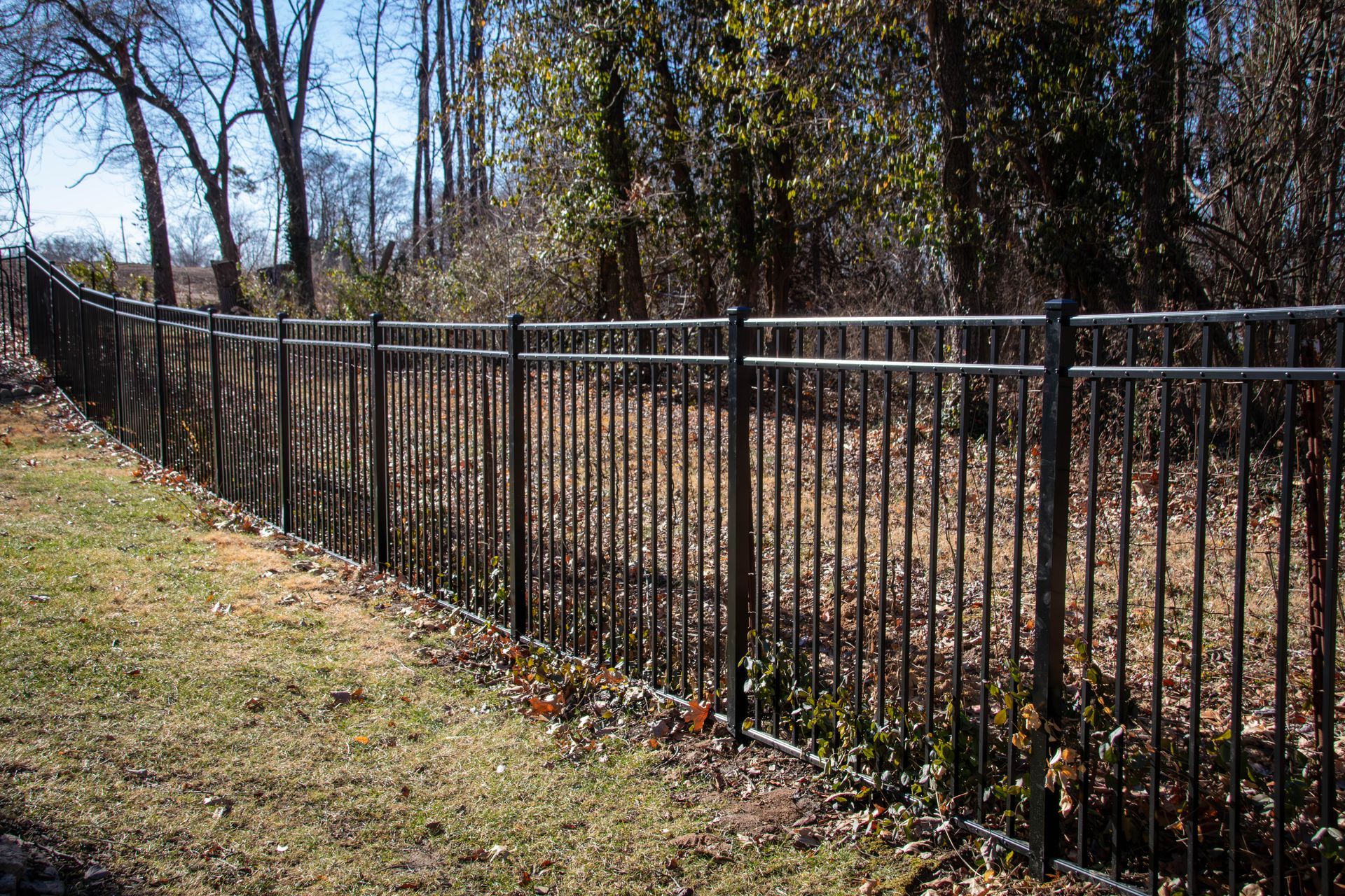 Black metal fence in grassy yard, trees in the background.