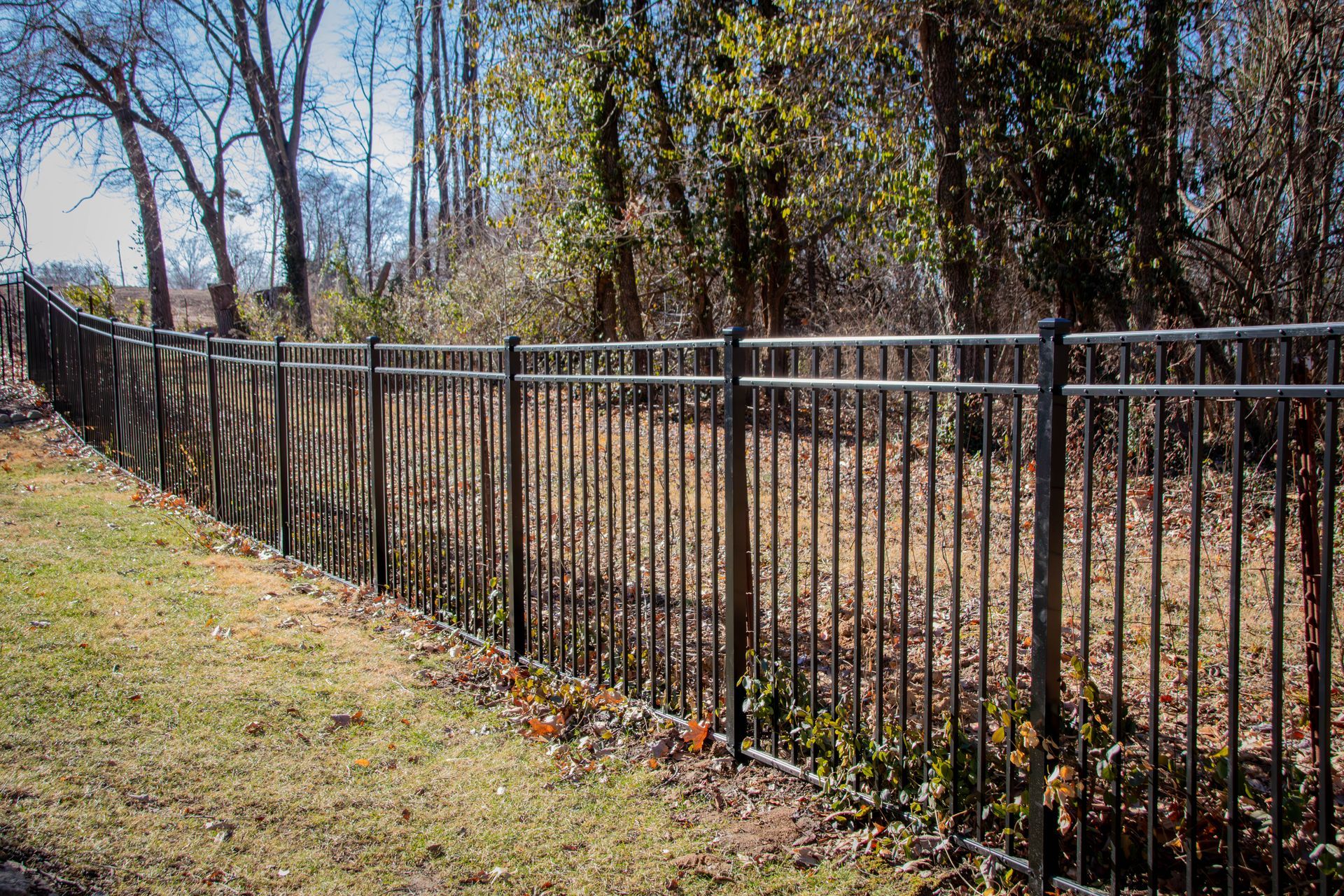 Black metal fence surrounding a grassy area with trees in the background.