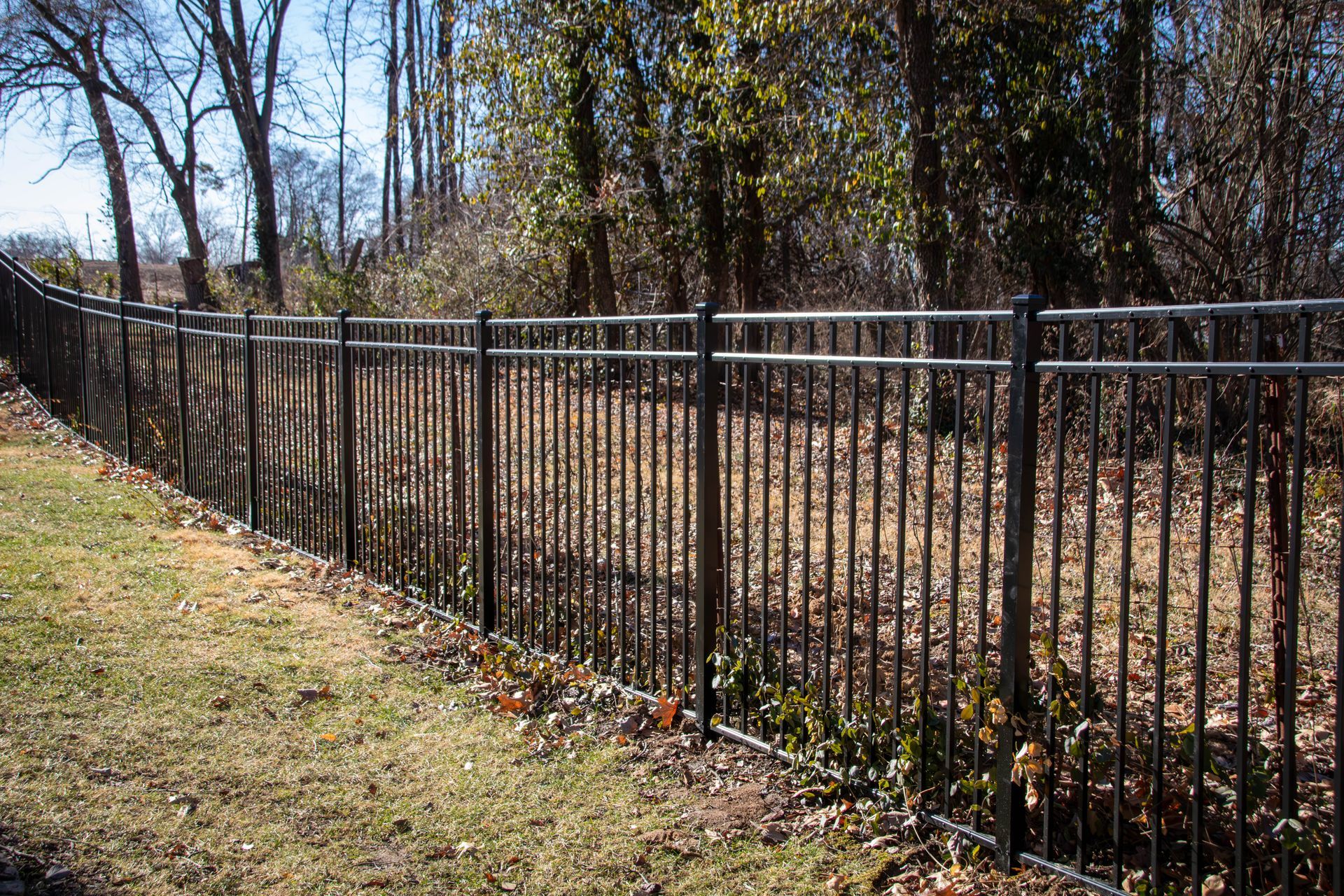 Black metal fence along a grassy area with trees in the background.
