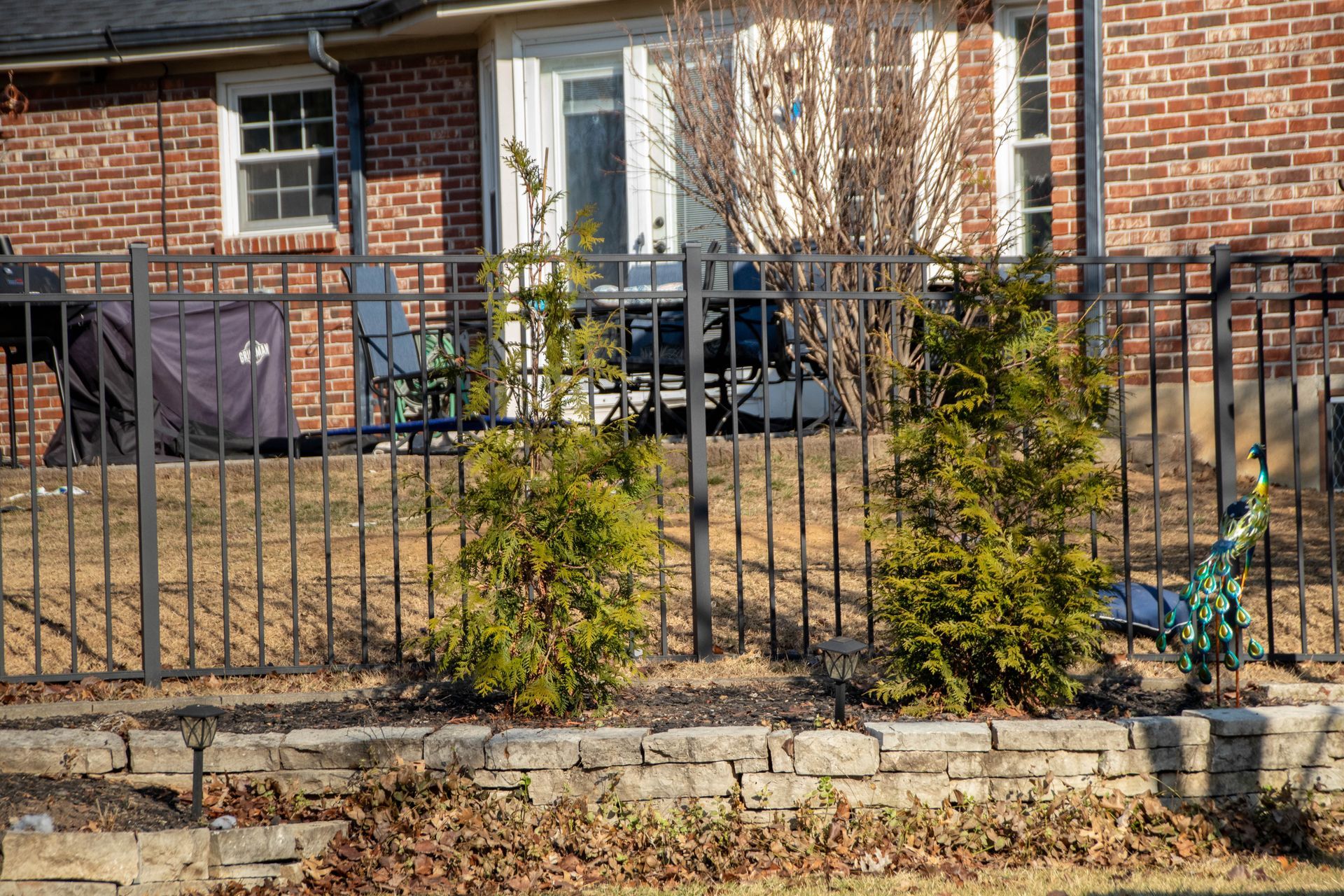 Black metal fence with evergreen bushes, brick house, and peacock statue.