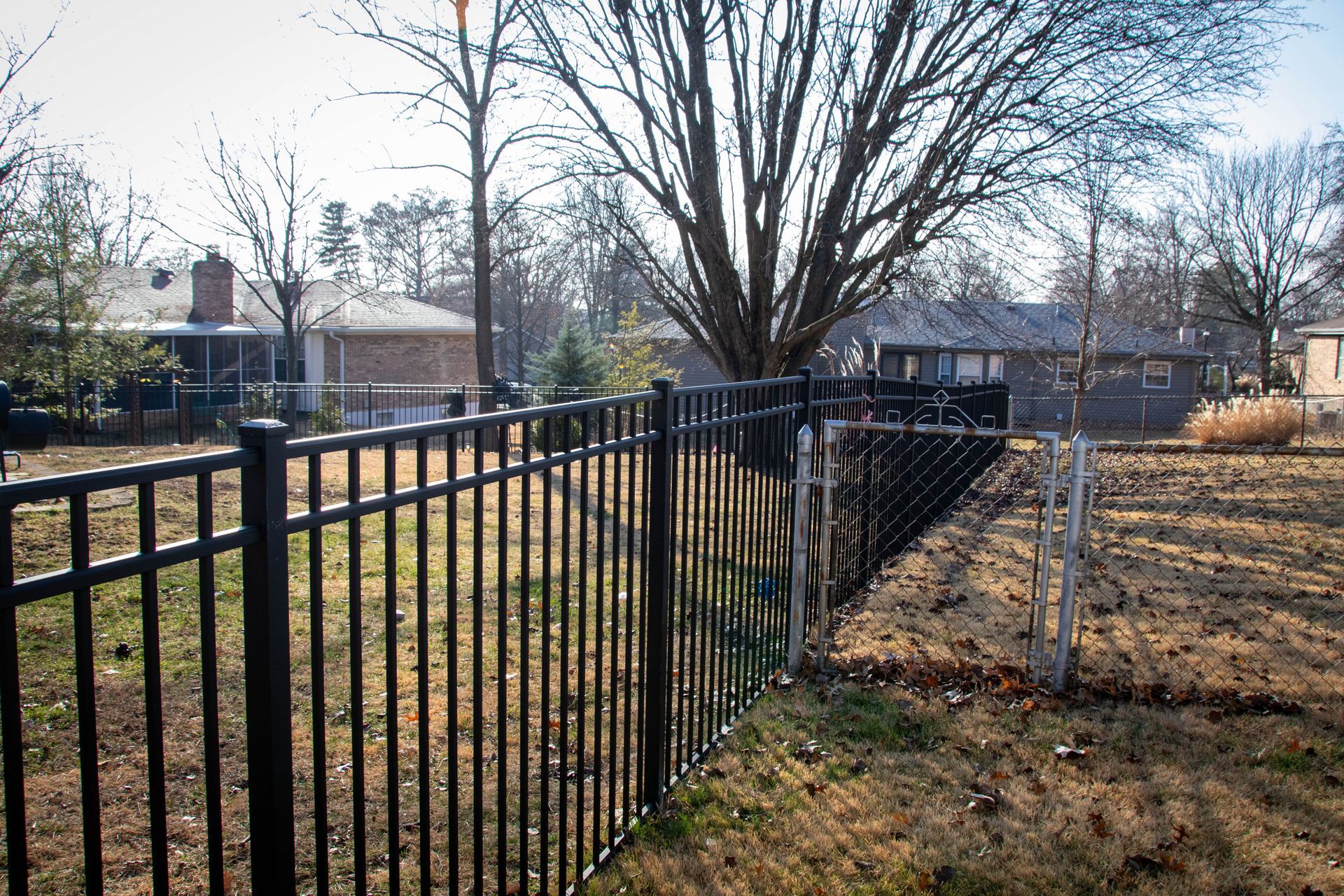 Black metal fence bordering a yard with leafless trees and houses in the background.