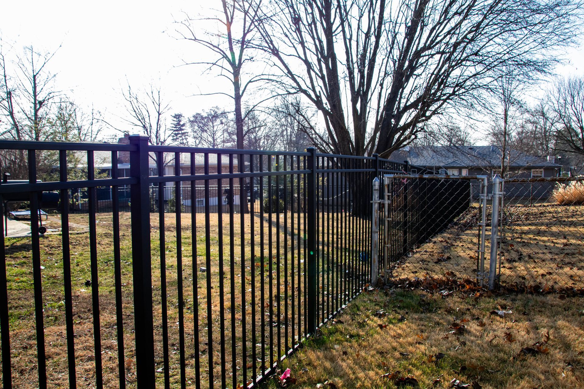 Black metal fence bordering a yard with brown grass and trees.