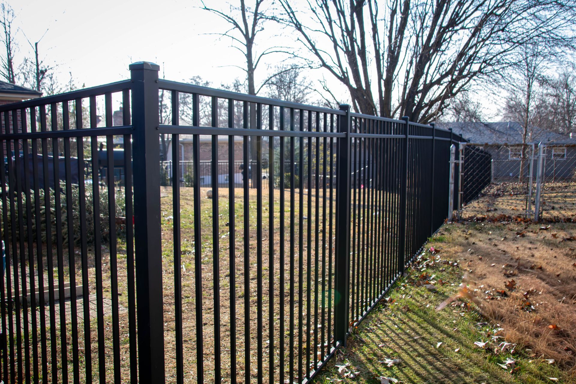 Black metal fence surrounds a grassy yard with houses in the background.