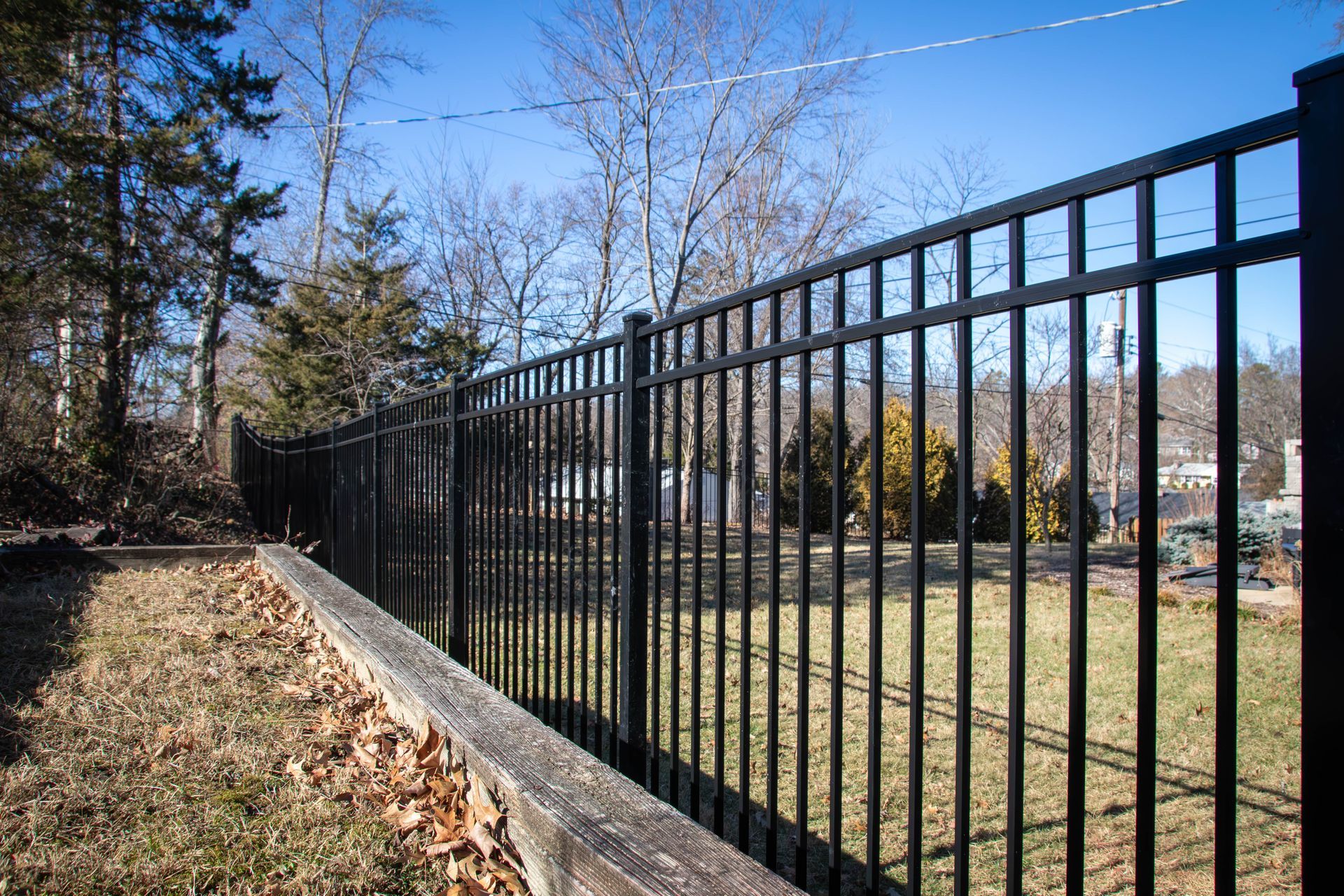 Black metal fence bordering a yard with brown grass and leafless trees under a blue sky.