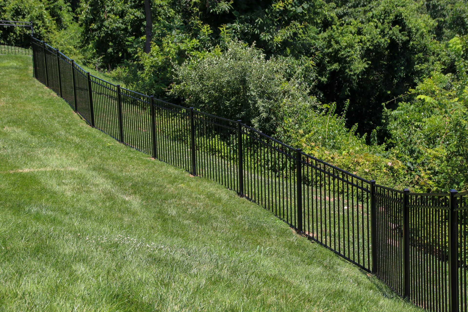 Black metal fence on a grassy hillside, trees in background.