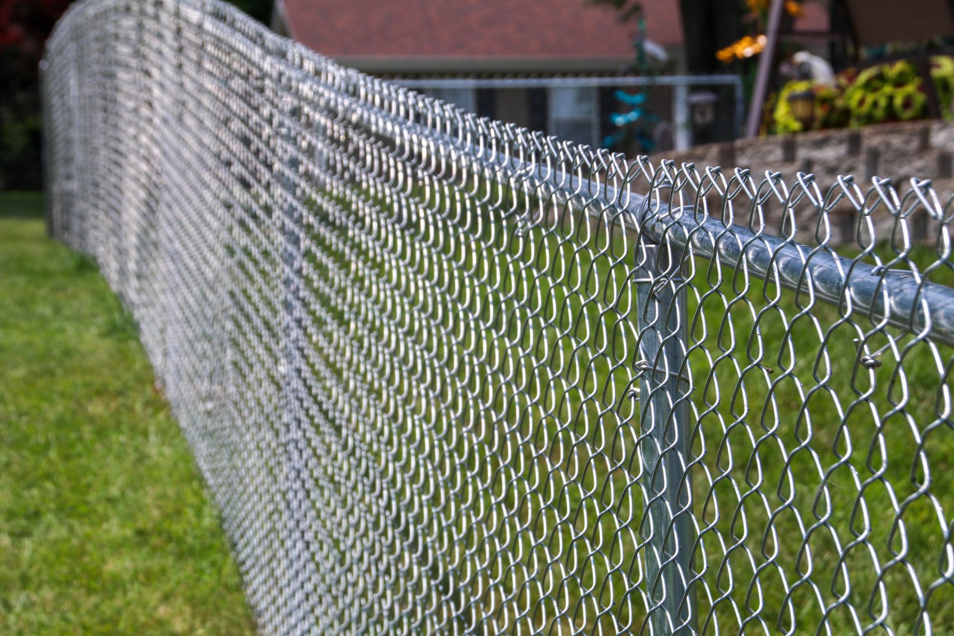 Chain-link fence in a grassy yard, perspective shot towards a house in the background.