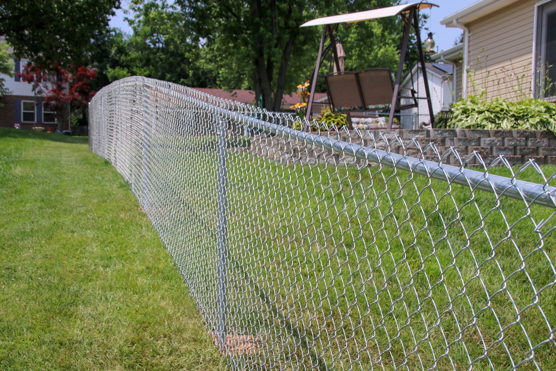 Chain-link fence in a green yard, extending to houses in the background. A swing hangs nearby.