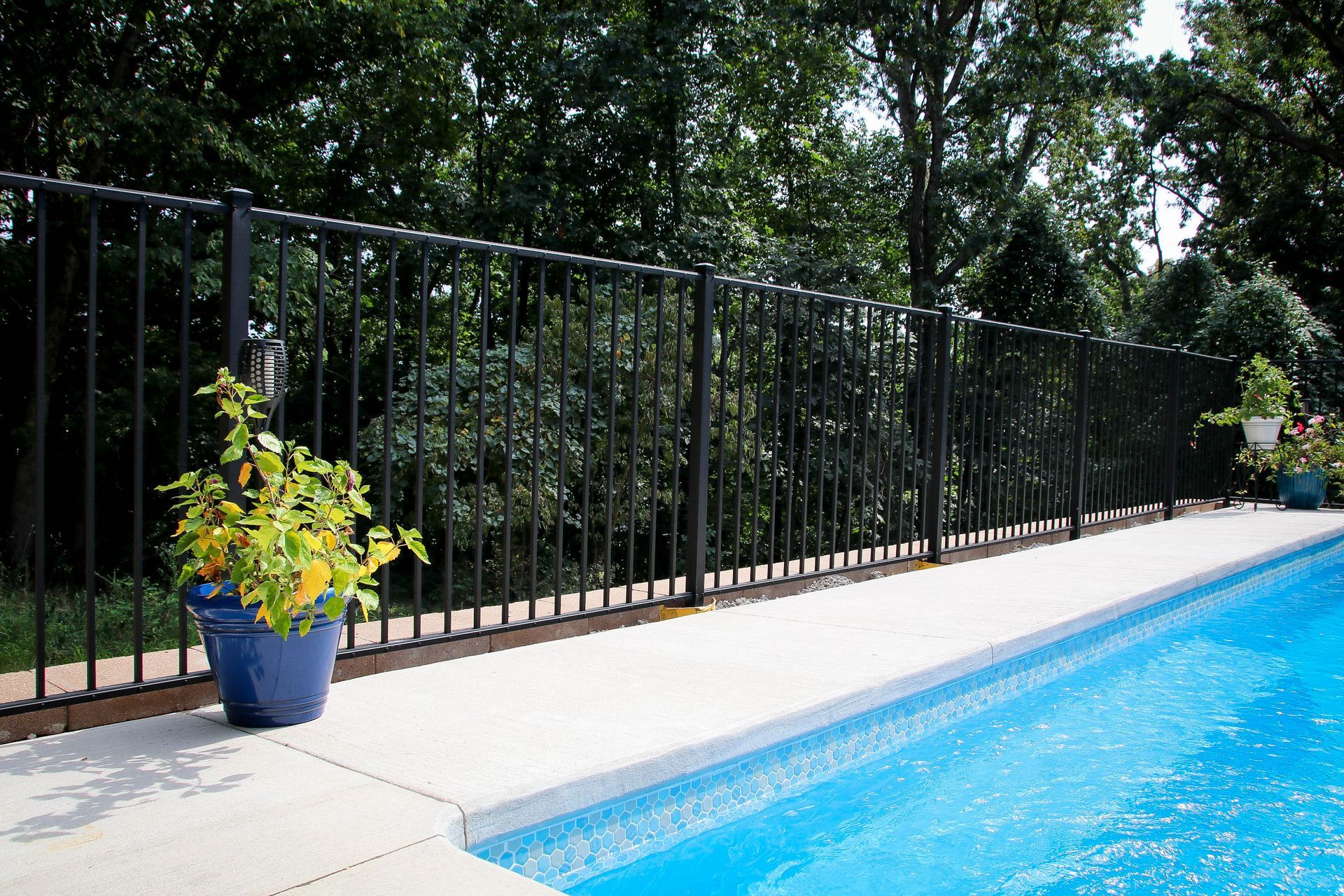 Black metal fence surrounds a blue pool with a white edge, potted plant on left, trees in background.