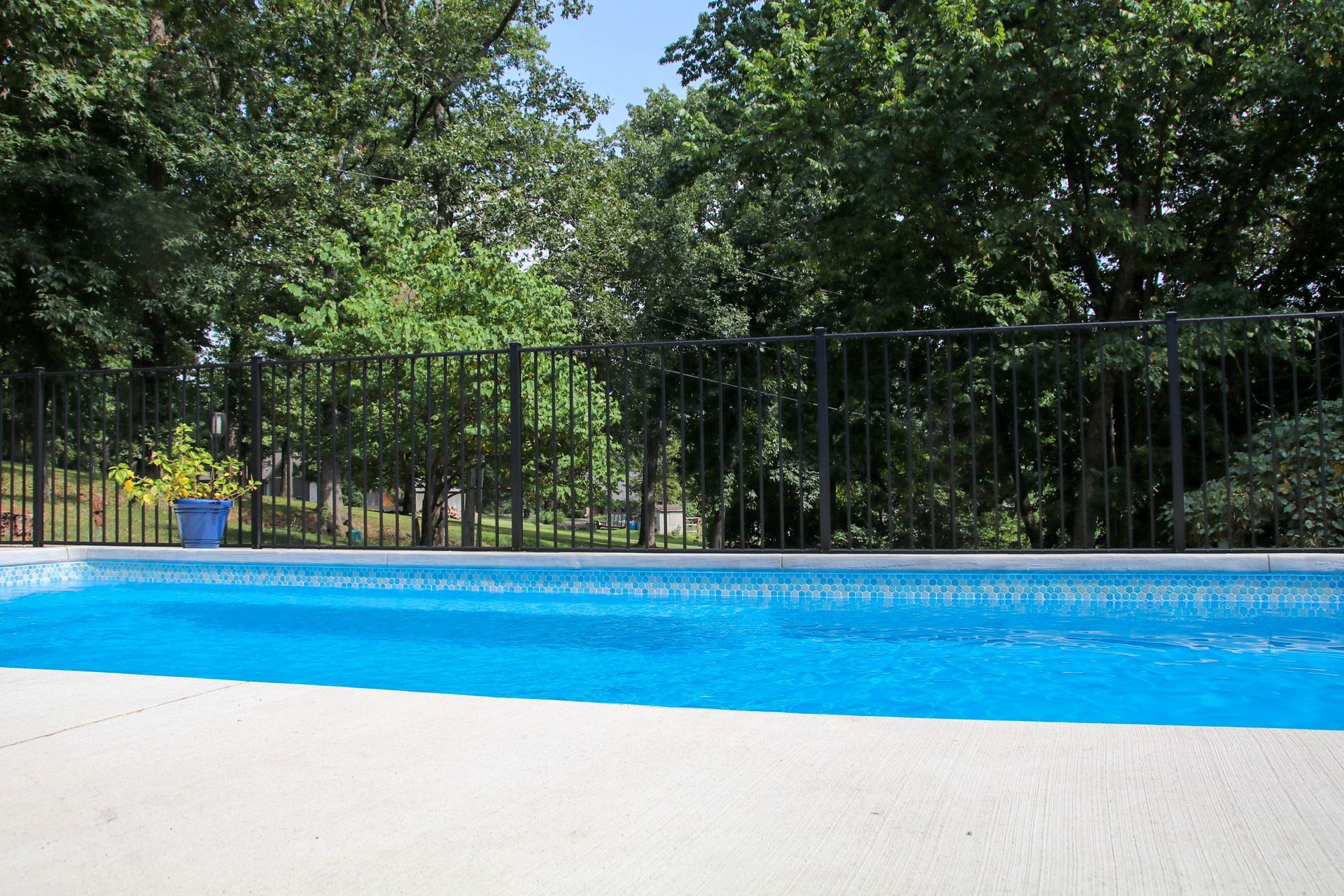 Blue swimming pool with white deck and a black fence surrounded by trees.