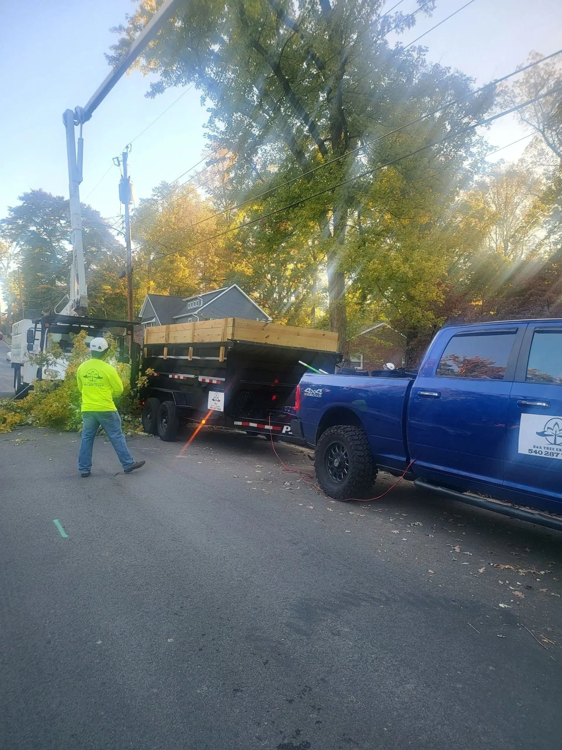 A tree service truck and trailer with a worker trimming branches near a road, with a blue truck attached.