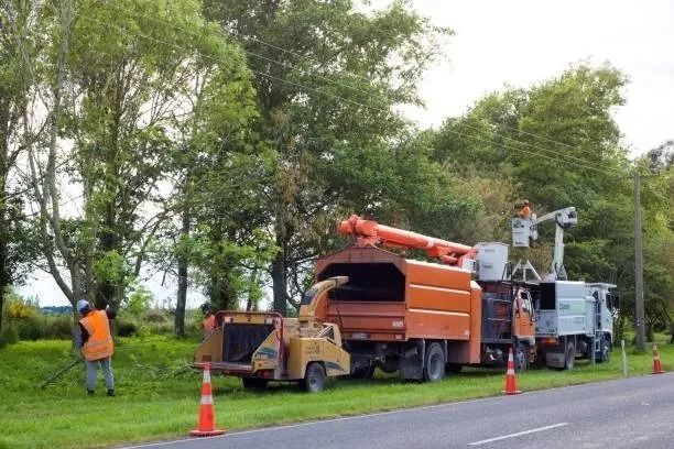 Workers trimming trees along a road. Orange truck with chipper and lift. One worker mows grass.