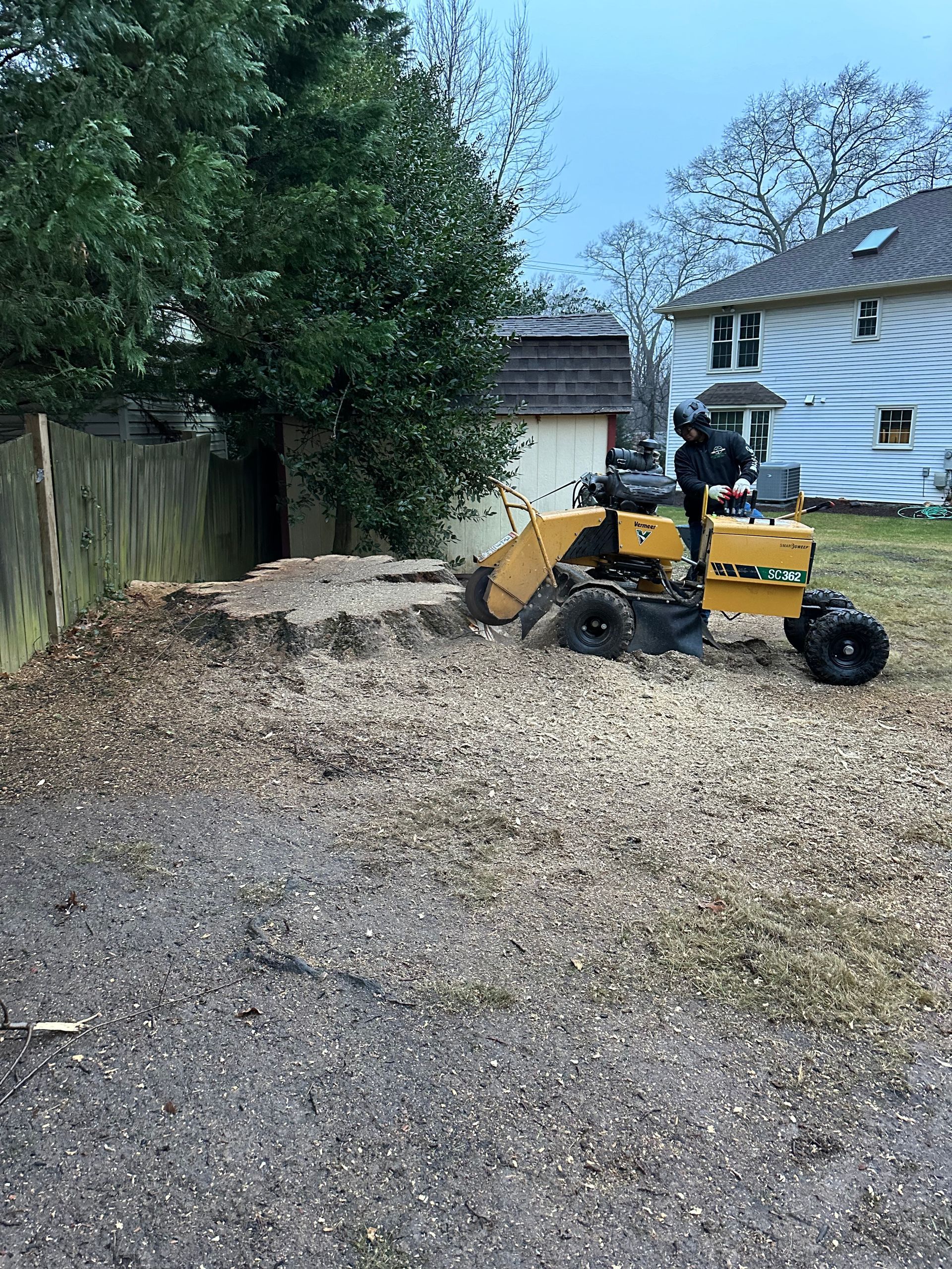 Stump grinder removing a tree stump in a yard, surrounded by wood chips, near a fence and house.