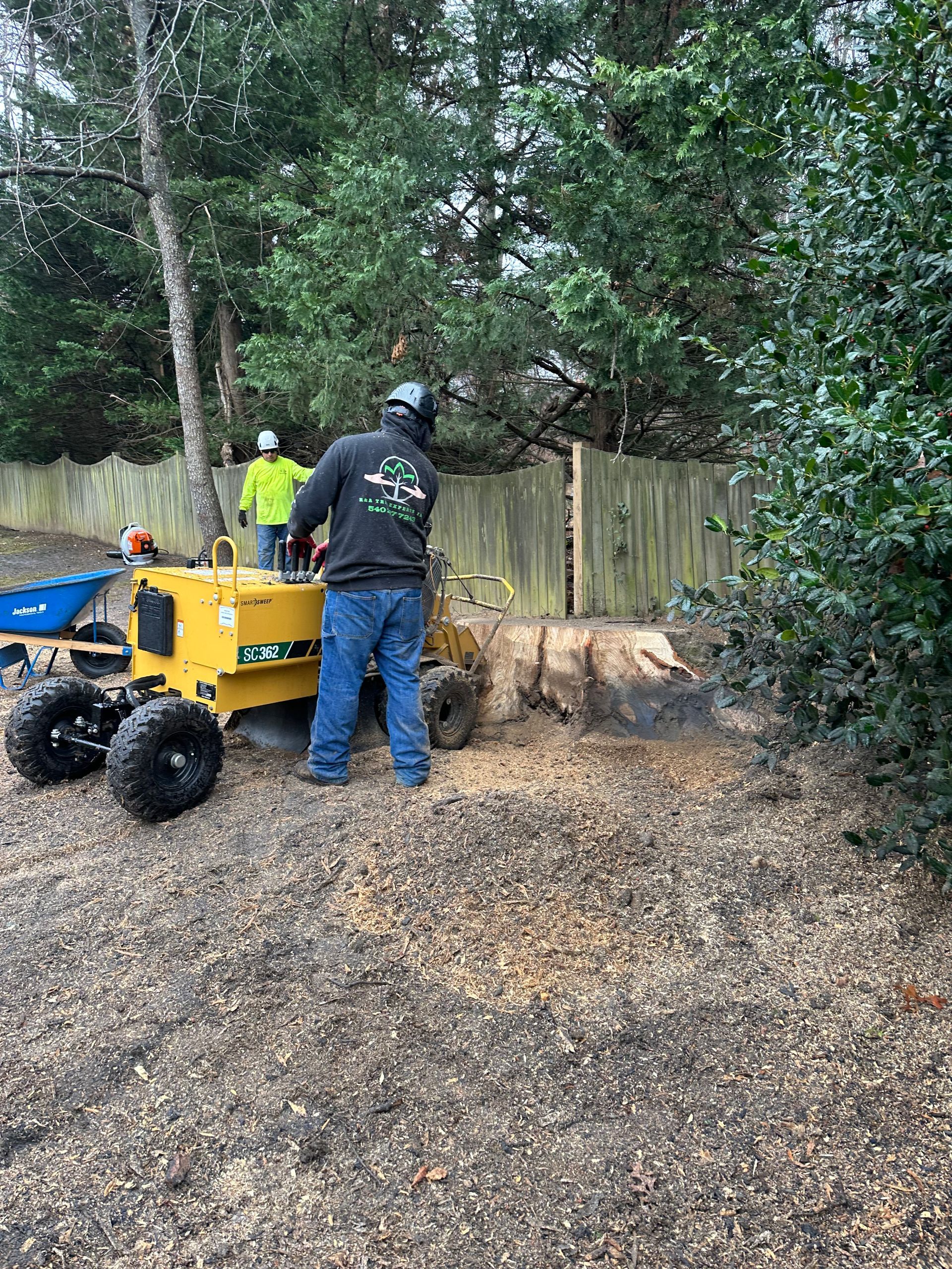 Man operating a stump grinder, removing a tree stump next to a wooden fence. Another person is visible.