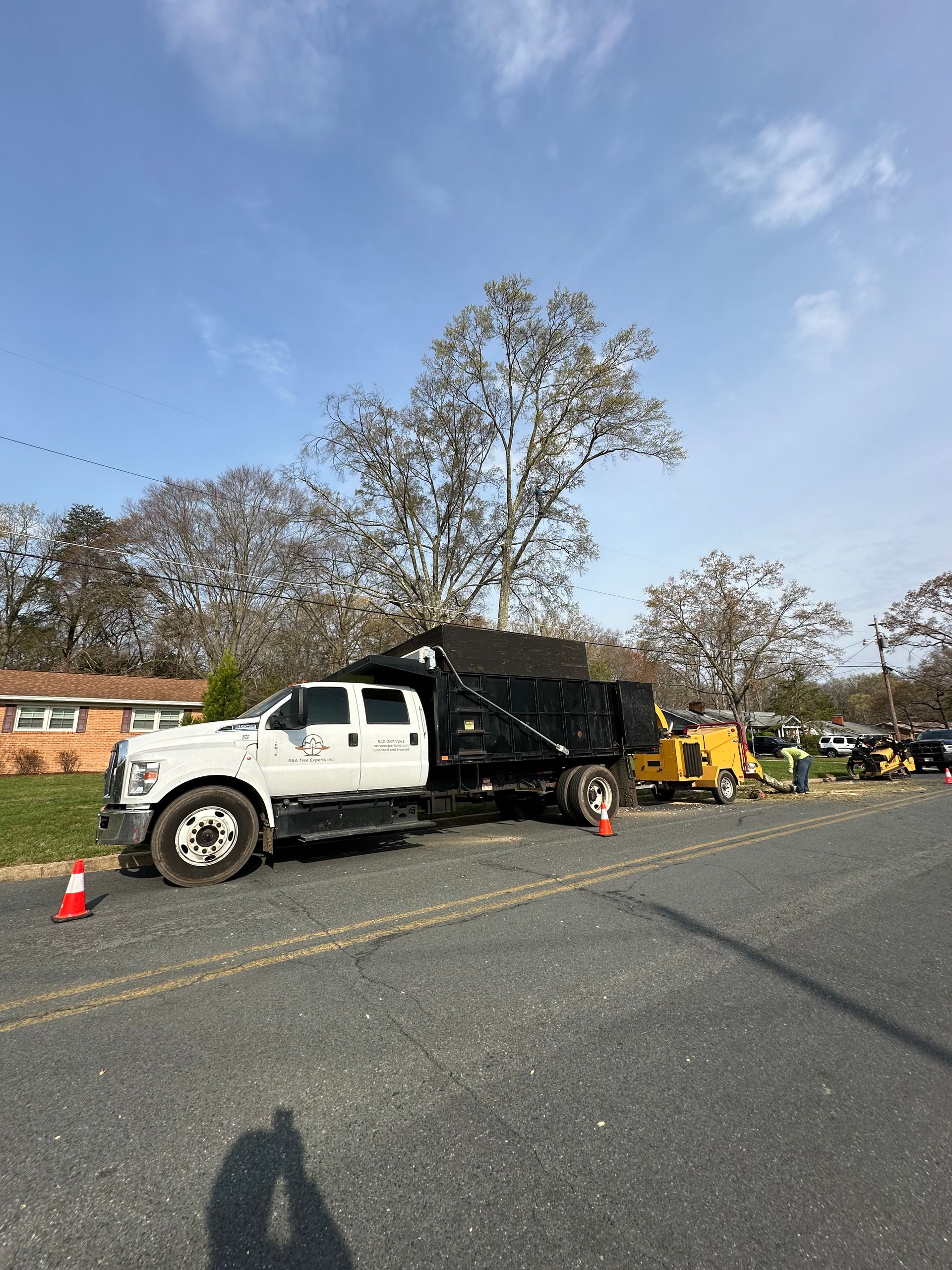 White work truck with dump bed parked on a road with cones; tree service equipment nearby, houses in background.