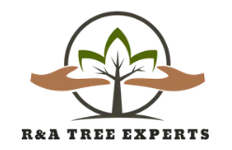 Logo for R&A Tree Experts. A tree with a green crown is inside a circle, with two hands reaching toward it.