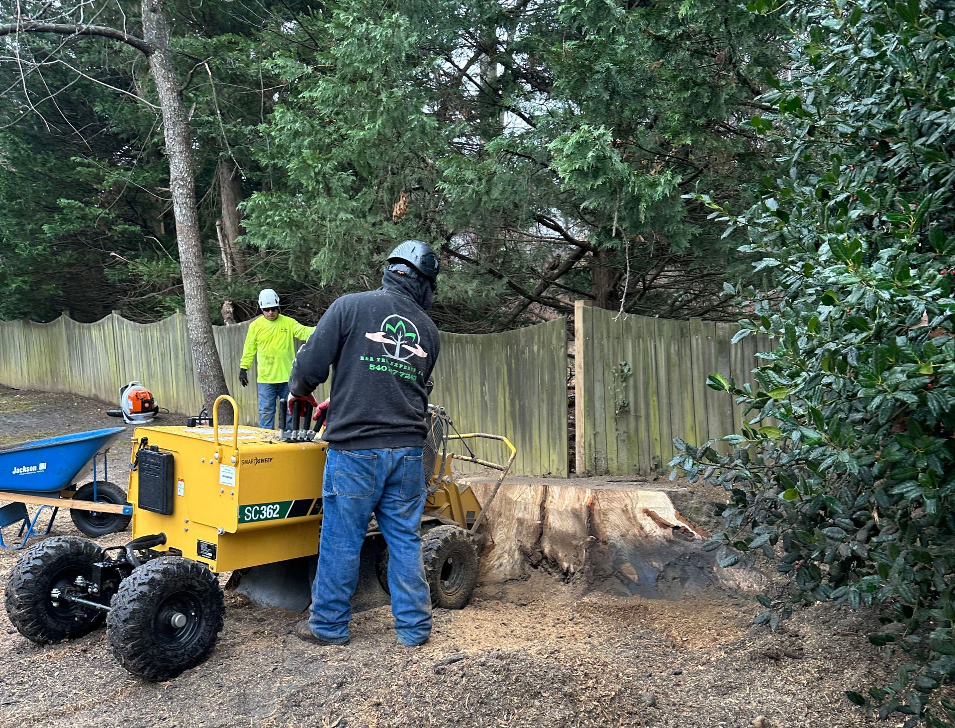Two workers using a stump grinder near a wooden fence and trees, outdoors.