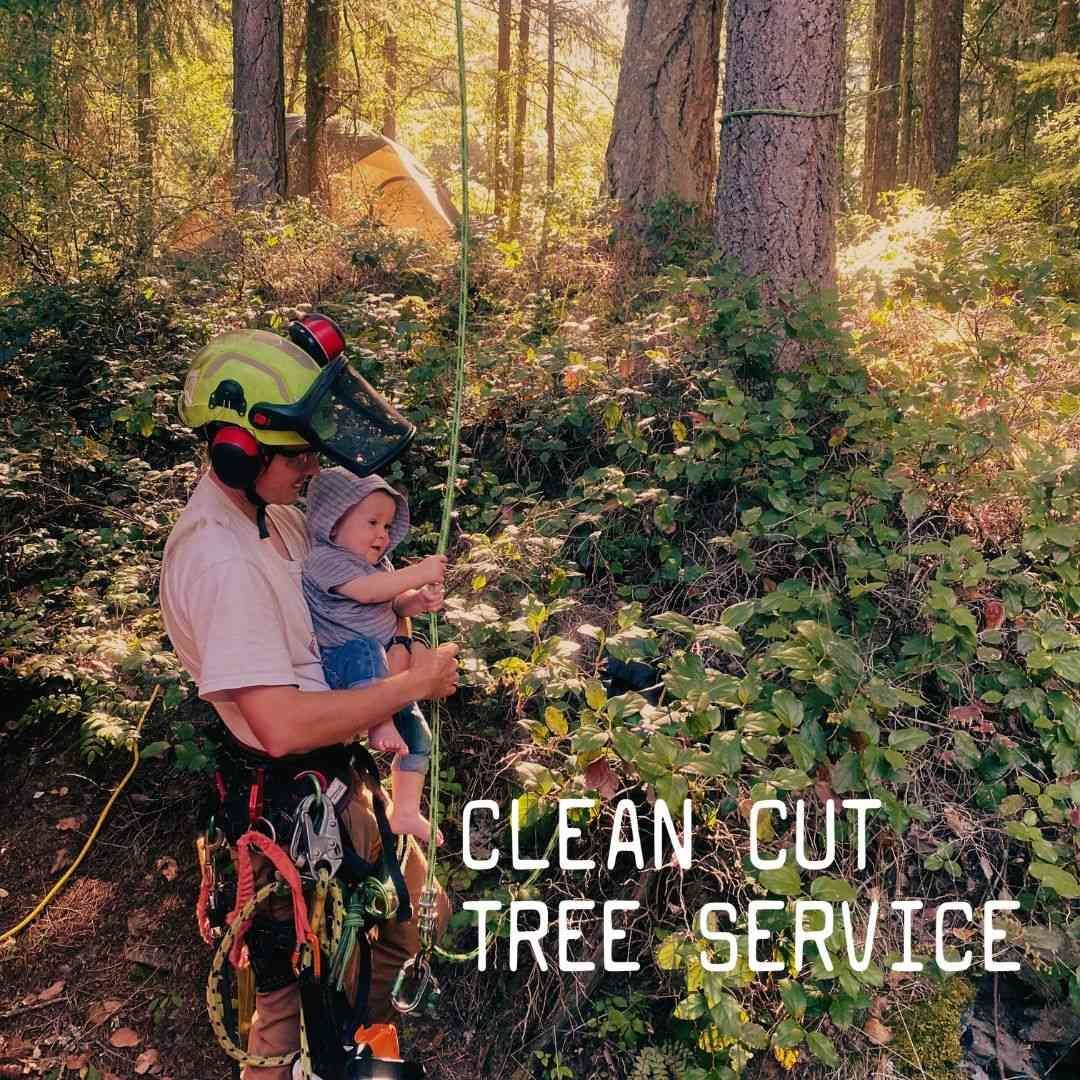 Tree service worker in a helmet holding a baby in a forest, with “Clean Cut Tree Service” text.