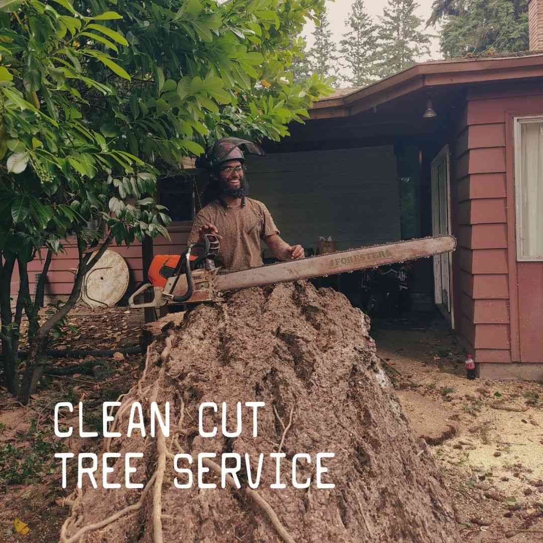Tree service worker in brown gear standing in a large wood chip pile beside a red shed, holding a chainsaw.