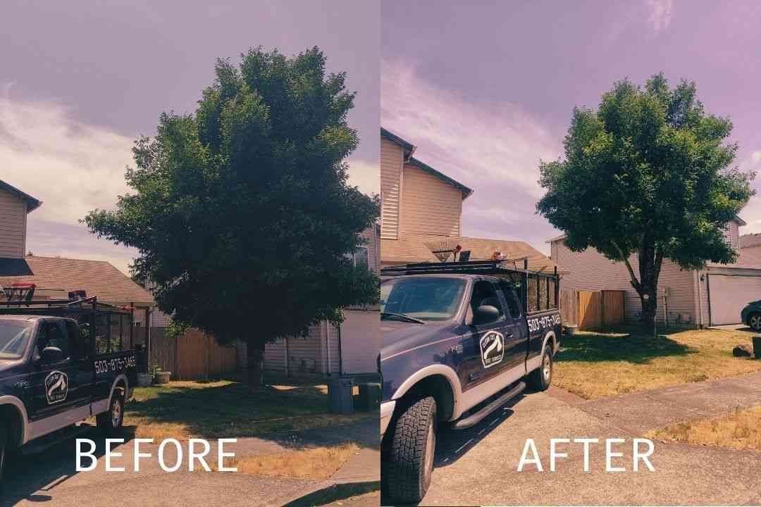 Before-and-after view of a black truck in a suburban driveway under a purple sky