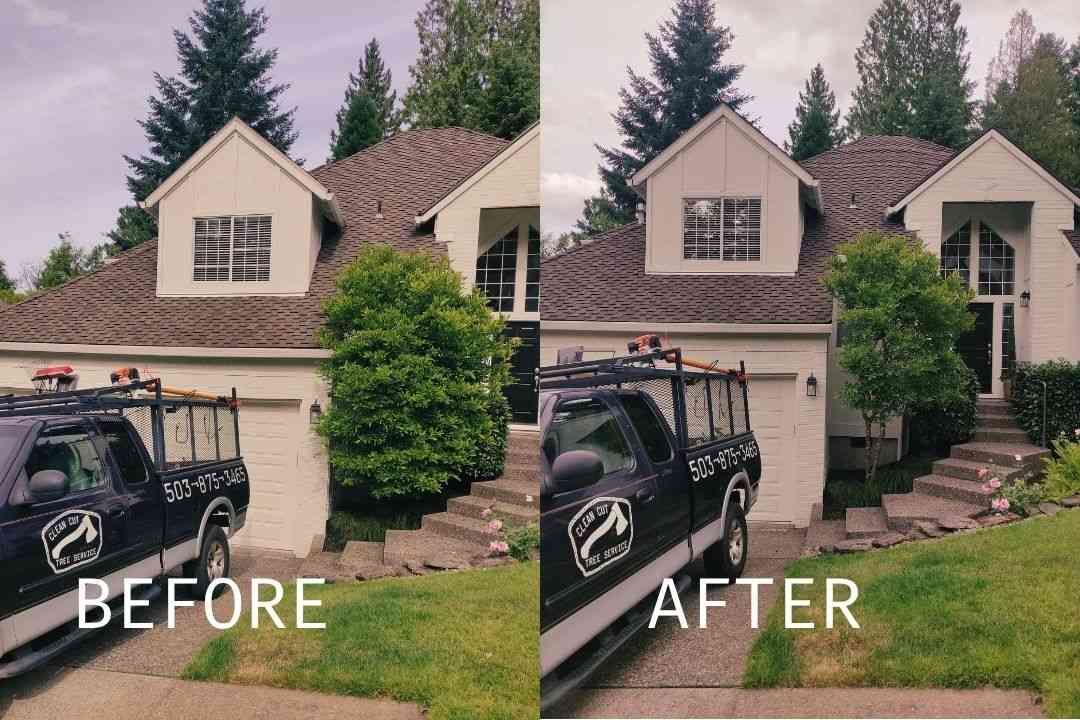 Before-and-after split of a house driveway, showing a black Jeep and changed landscaping.