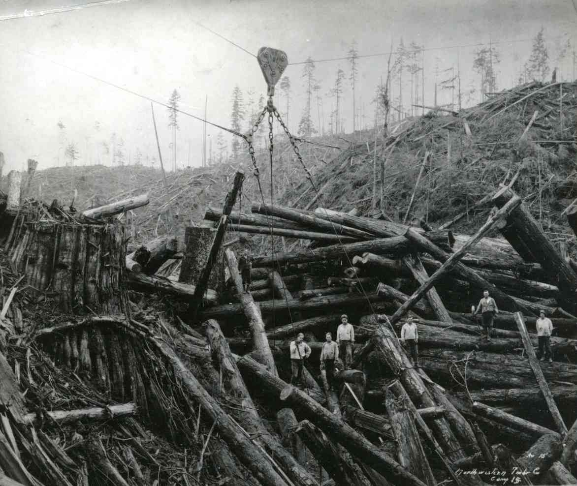 Workers in a black-and-white logging site, with huge fallen logs piled on a steep hillside.