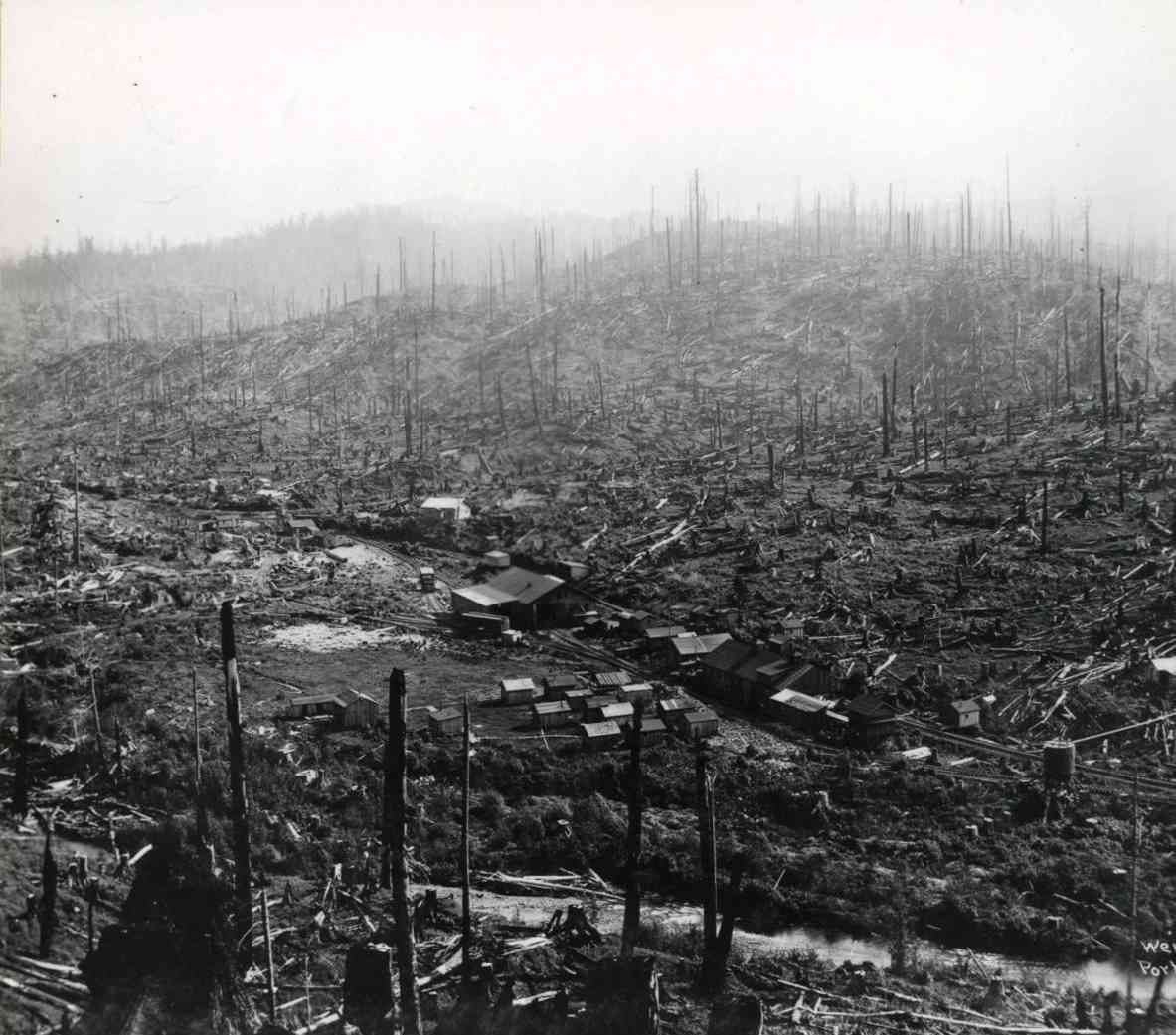 Blackened, barren hillside with charred tree stumps and scattered debris in a smoky landscape