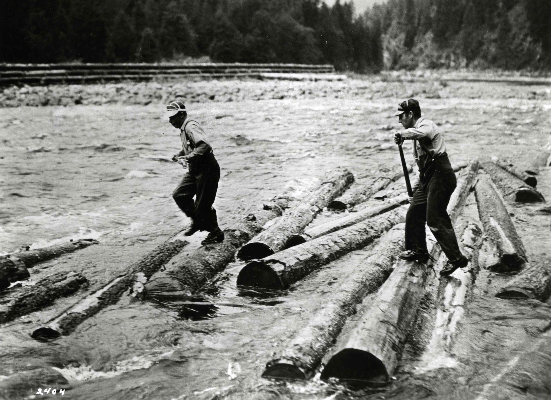 People standing on logs in a muddy river, working near a wooded riverbank.