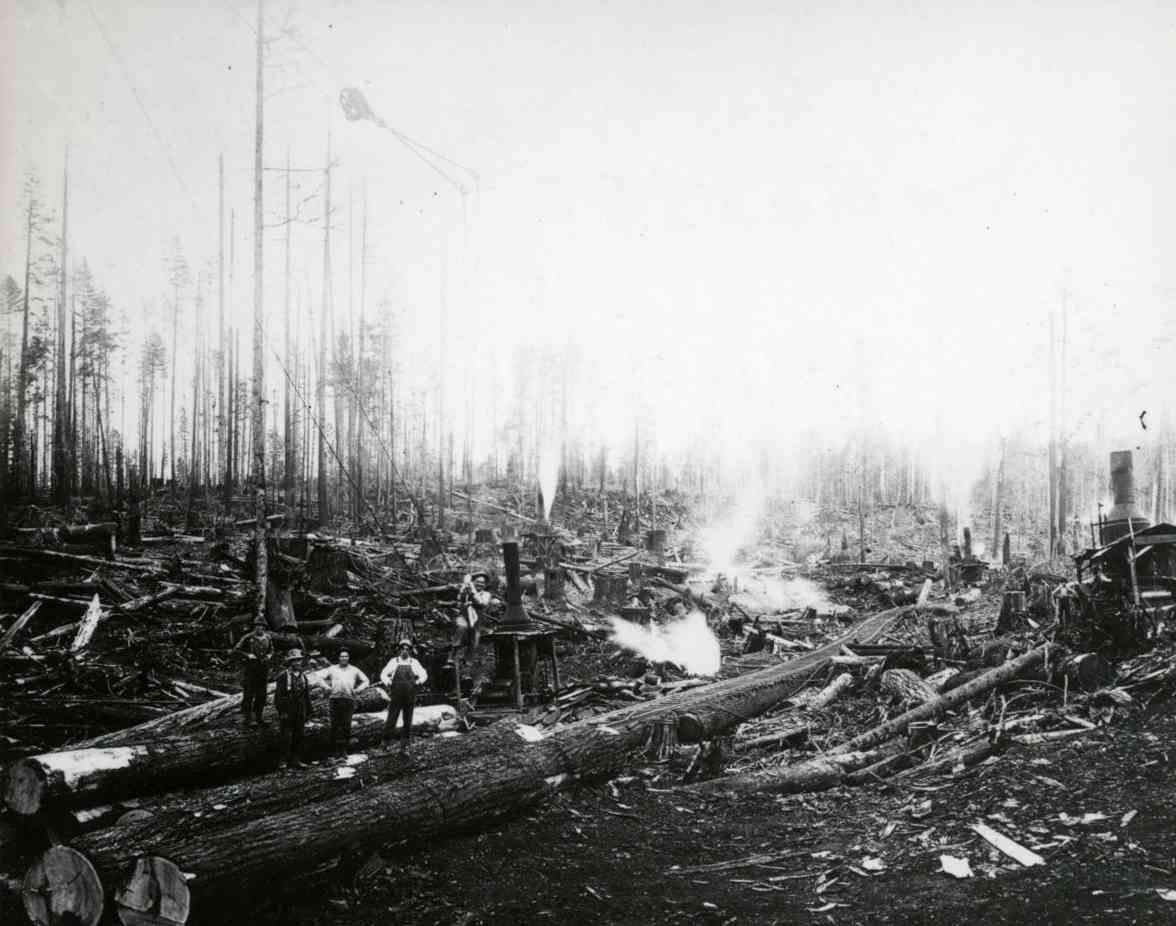 Black-and-white scene of a burned forest with fallen logs, smoke, and a wagon amid charred remains