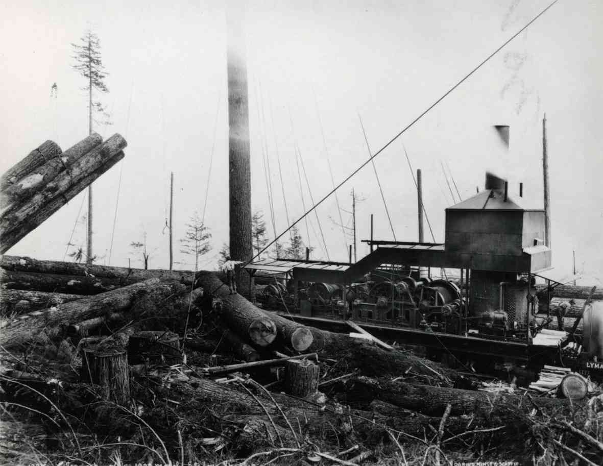 Charred forest with fallen logs and a small industrial building under a smoky sky