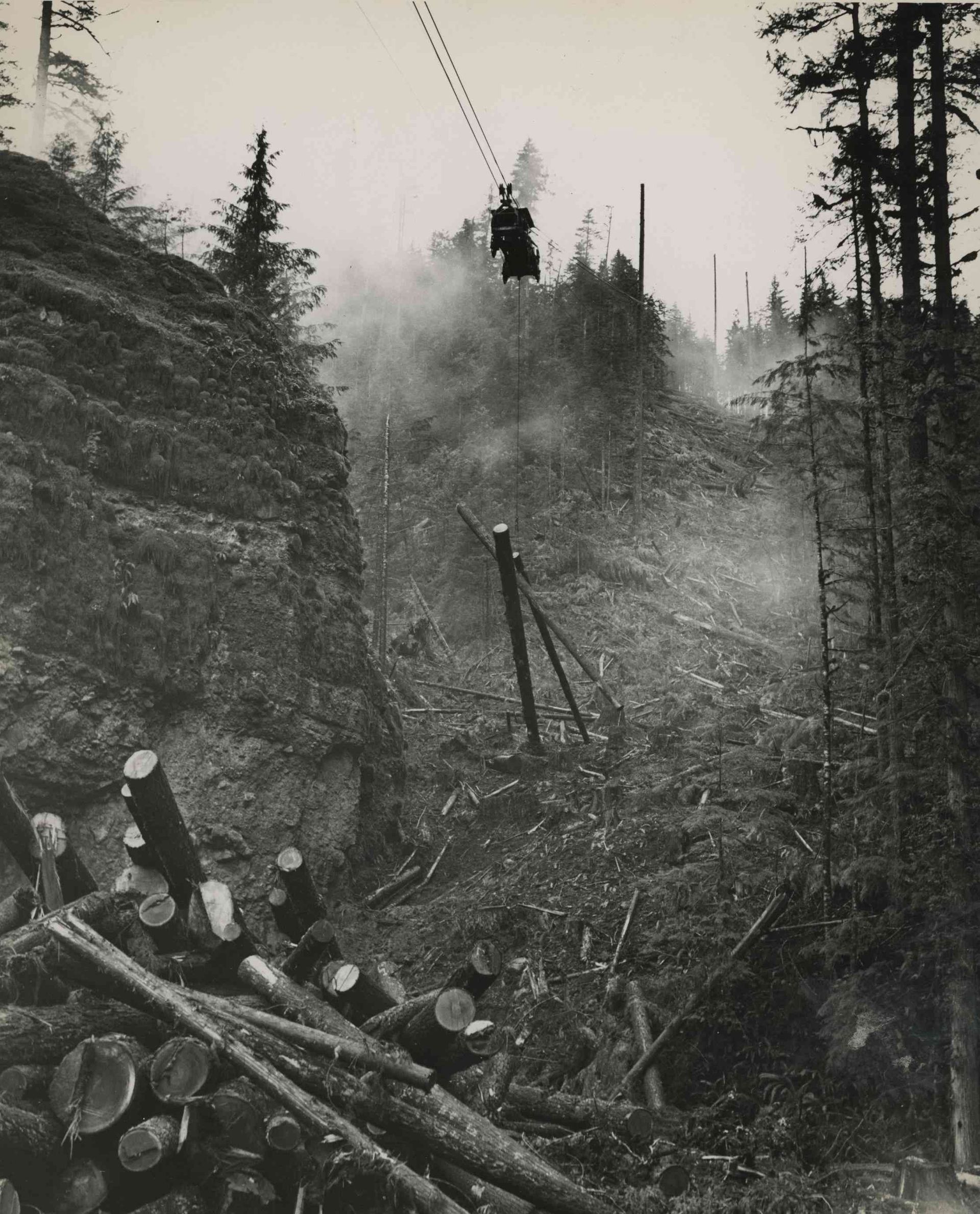 Black-and-white logging scene with workers on a steep forest slope and cut logs in the foreground.