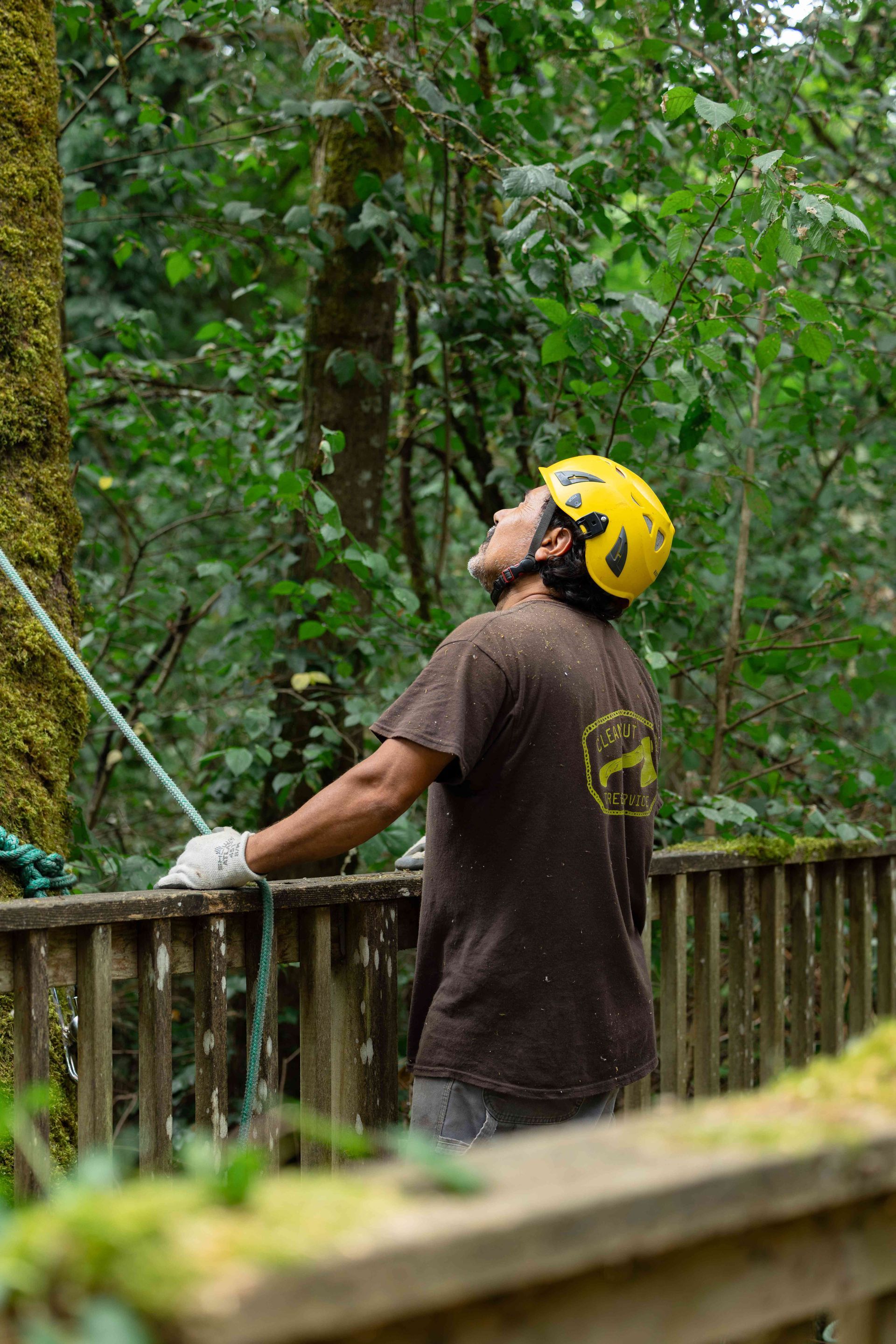 Person in a yellow helmet looks up while climbing or belaying on a forest ropes course.