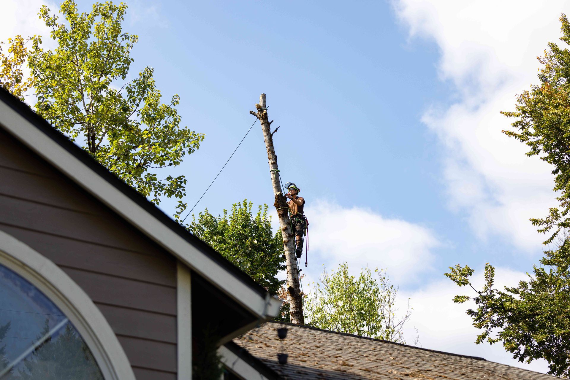 Person trimming a tall tree branch on a house roof under a blue sky