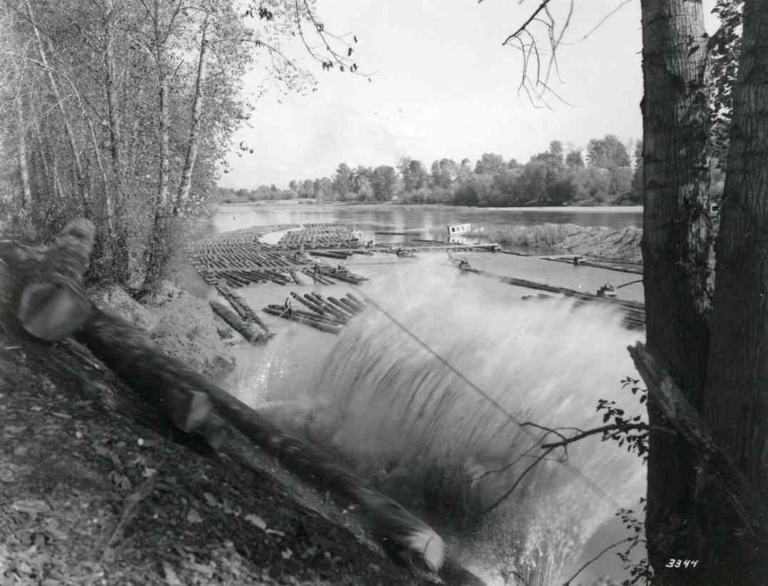 Black-and-white riverside scene with a small waterfall, fallen log, and trees along the bank