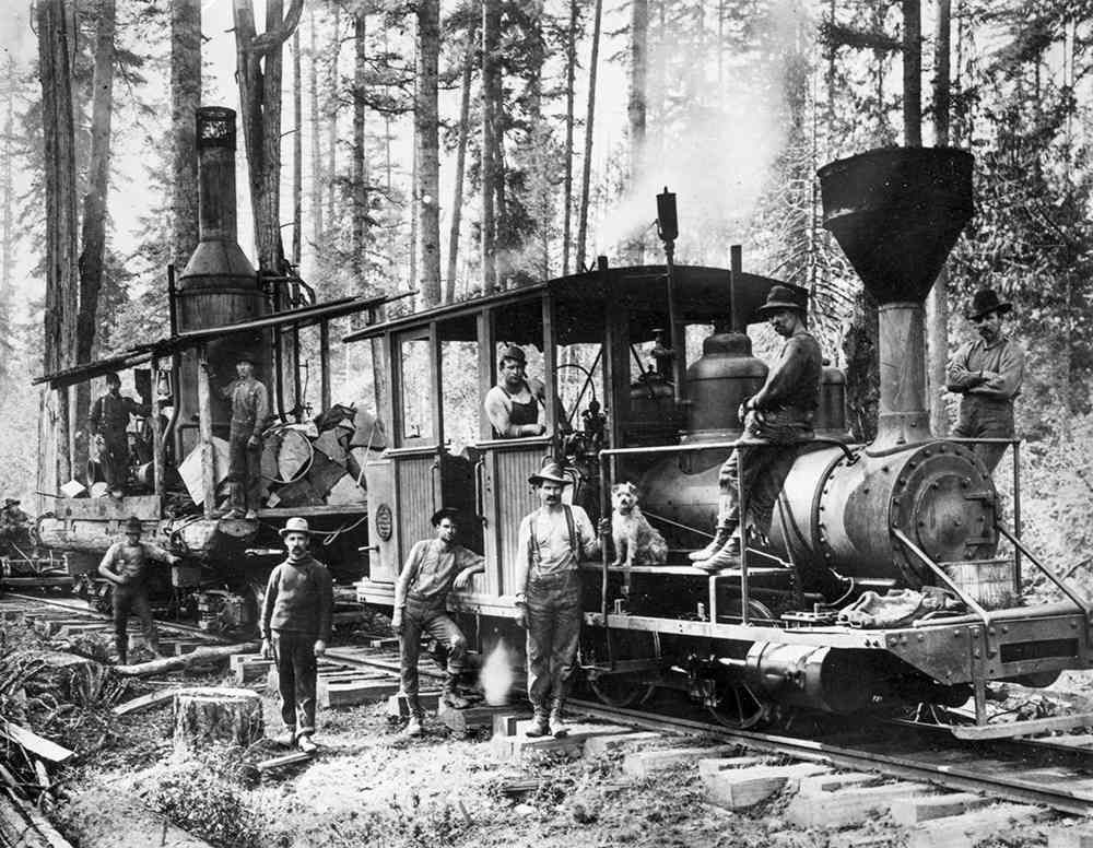 Steam locomotive with workers in a forest logging camp, black-and-white photo