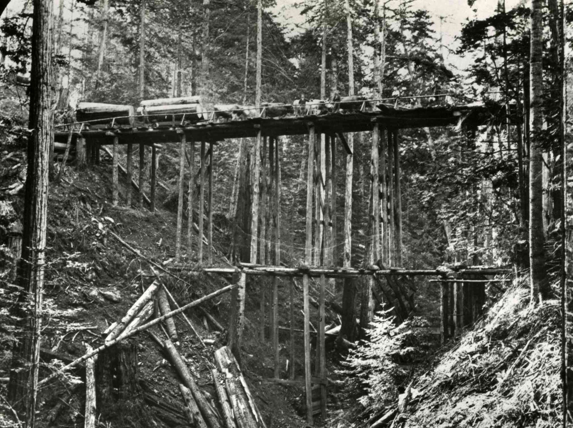 Old wooden bridge spanning a deep forest ravine, with a train crossing over it