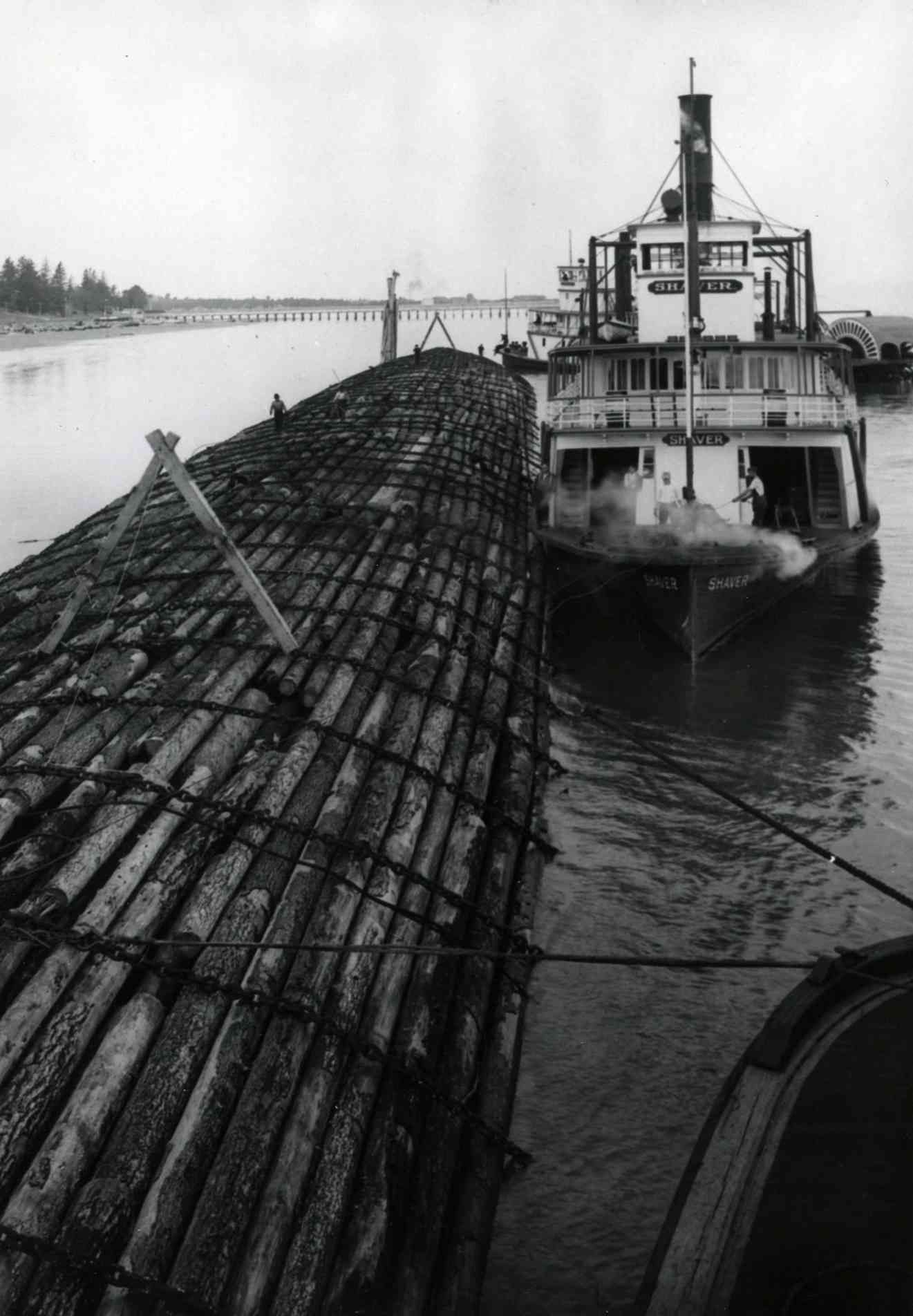 Black-and-white photo of a tugboat pushing a long log boom along a river.