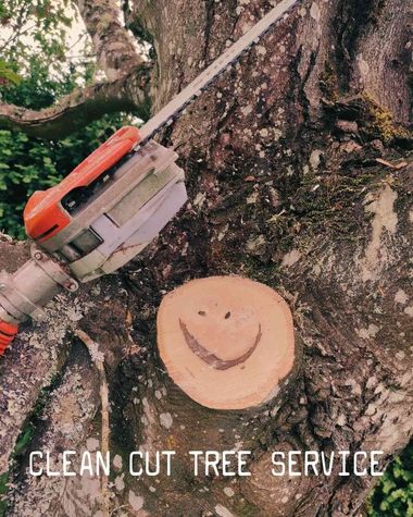 Chainsaw cutting tree trunk with fresh stump and &ldquo;Clean Cut Tree Service&rdquo; text.