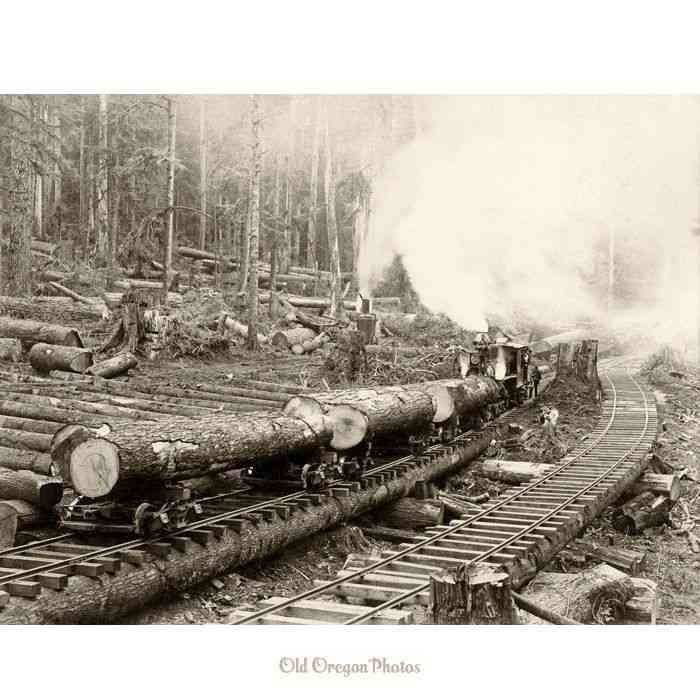 Steam logging train hauling cut timber on forest tracks, smoke billowing in a wooded area