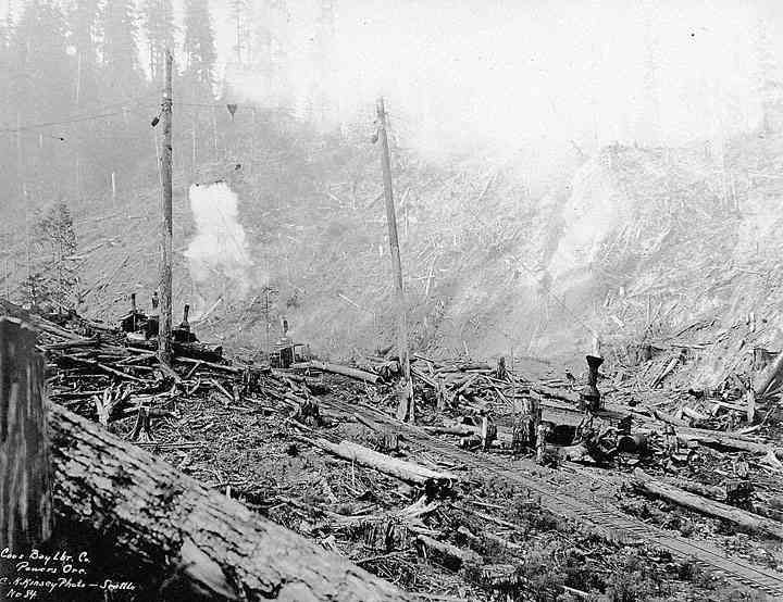 Charred forest after a fire, with smoke rising from blackened tree stumps and fallen debris
