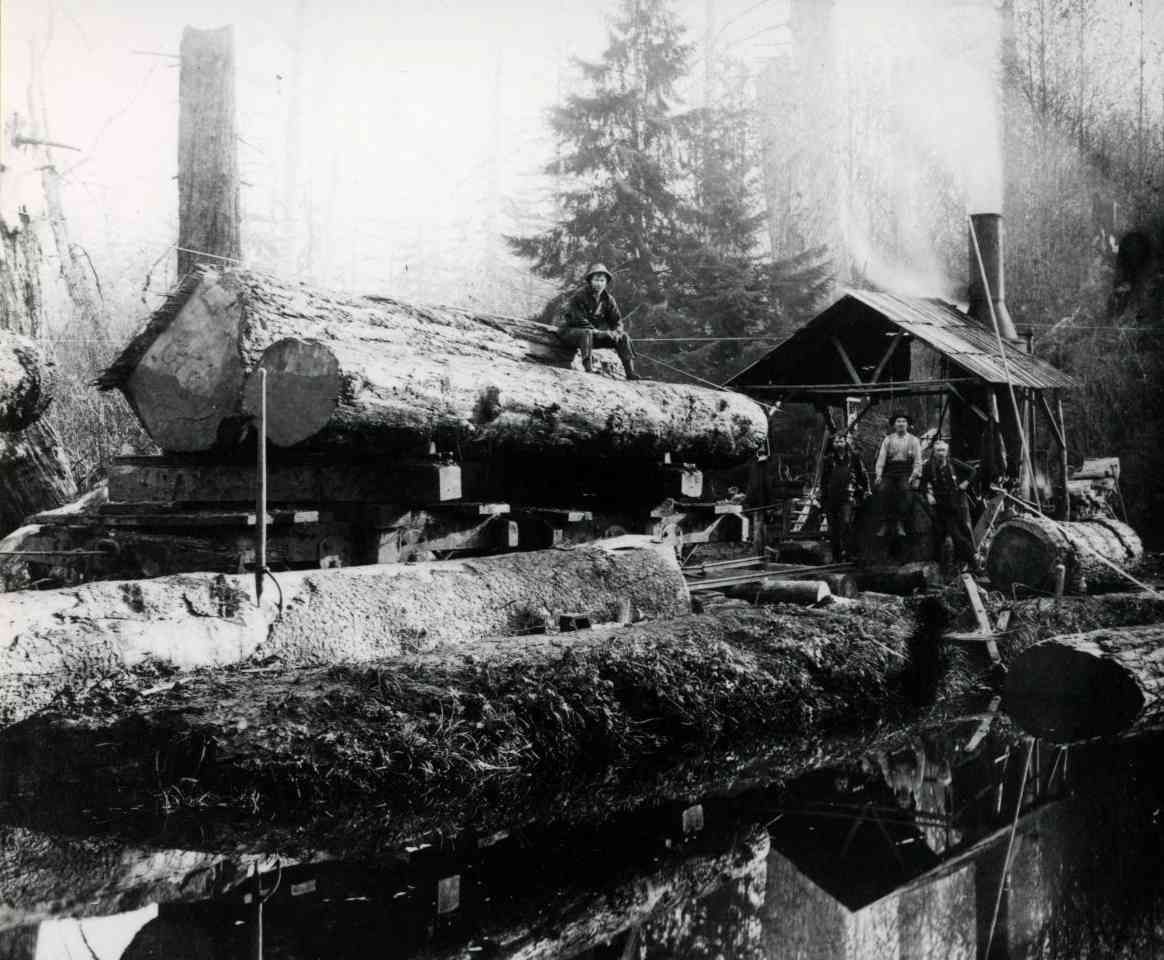 A lumber mill yard with large logs, a worker, and a small wooden shed in a smoky, wintry setting
