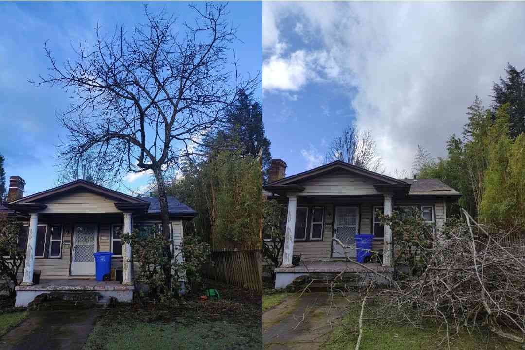 Two small houses with blue bins, bare tree, and smoky sky in a wooded yard