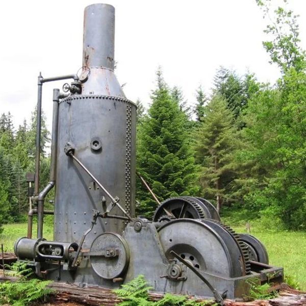 Old industrial steam engine with a tall boiler and large flywheel in a grassy forest clearing