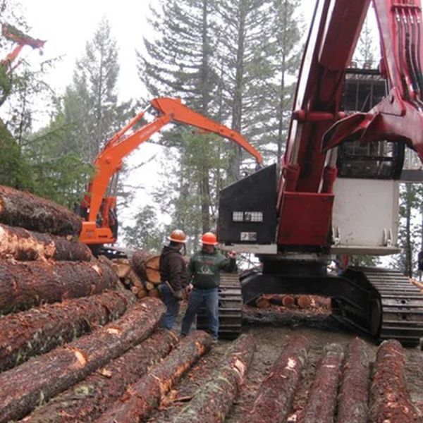 Log yard with stacked logs, workers, and orange excavators loading timber in a forest clearing